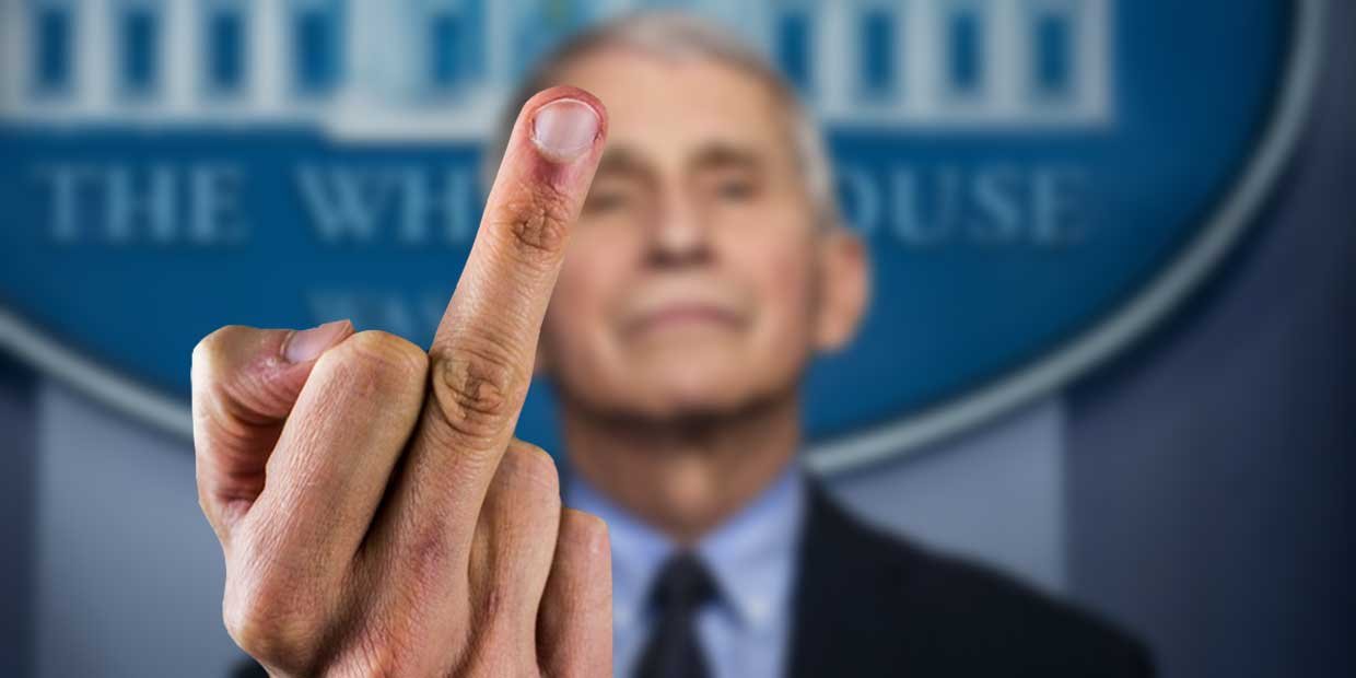Ein virologischer Mittelfinger aus Boston mit Fauci-Grüßen