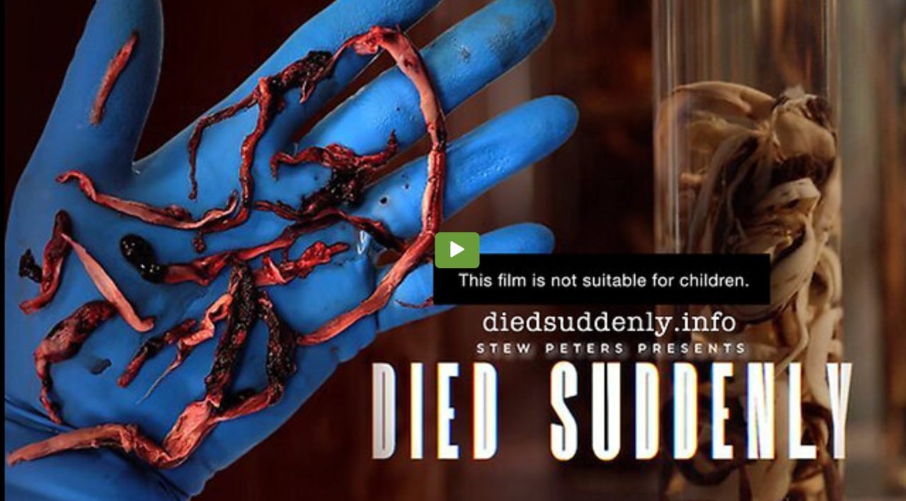 Died Suddenly sieht aus wie eine Anti-Wappie-Dokumentation