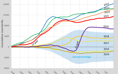 Erkenntnisse aus der Meester/Jacobs-Studie zu Übersterblichkeit und Impfungen