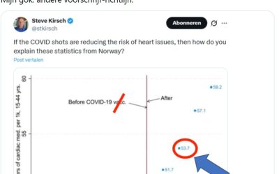 Vier knoeperts van fouten bij één grafiekje: Maarten lukt het